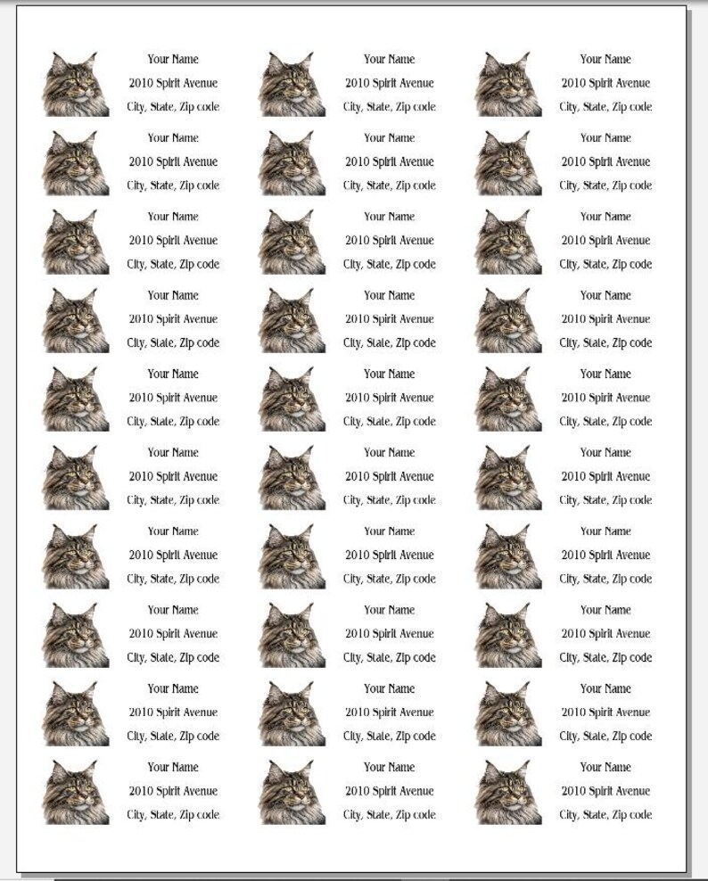 Maine Coon Cat Address Labels, Cat Return Mailing Stickers, Cat Lover ...
