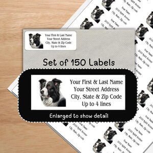 Border Collie Address Labels: Personalized Return Mailing Stickers, Set of 150