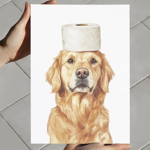 May include: A golden retriever dog wearing a white toilet paper roll as a hat. The dog is looking directly at the camera with a serious expression.