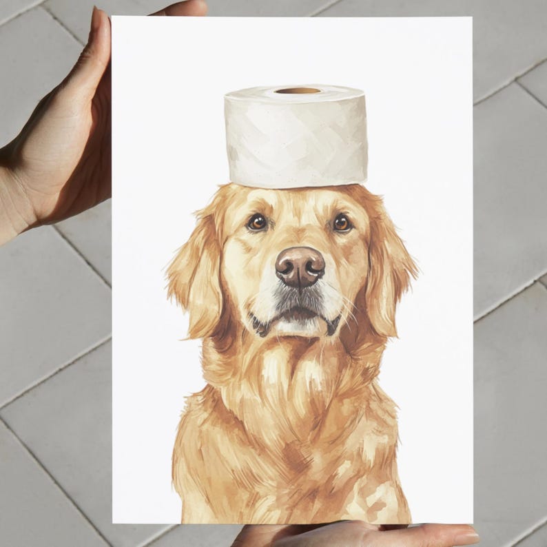 May include: A golden retriever dog wearing a white toilet paper roll as a hat. The dog is looking directly at the camera with a serious expression.