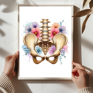 Bloemen kunstdruk bekkenbodem: aquarel anatomie decor (digitale download) #AT12