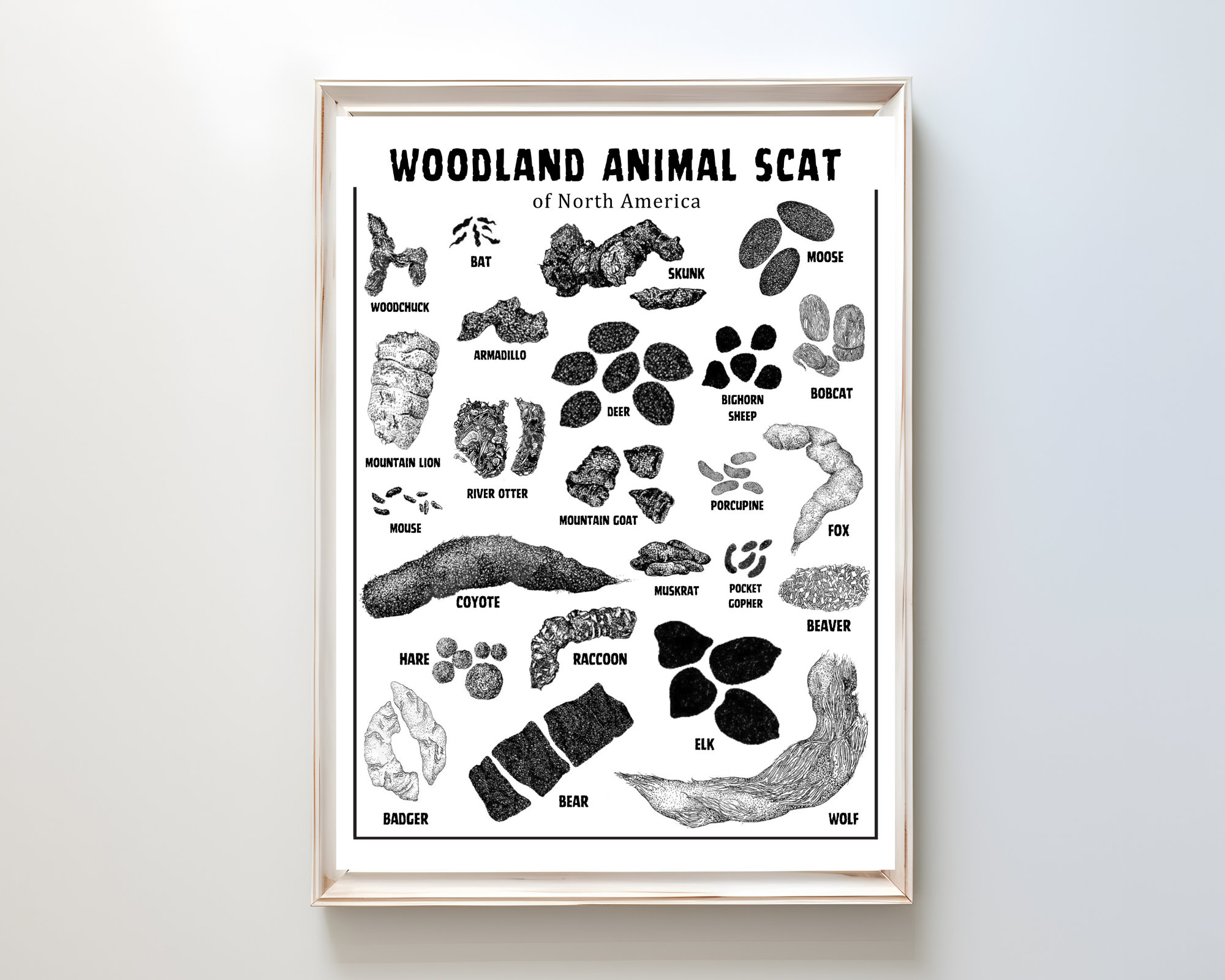 scat mature picture girls Animal Scat Print - Woodland Animal Droppings Poster, Wilderness Poop  Chart, Mountain Hunting Field Guide, Woodland Decor, PRINTABLE #H99 - Etsy
