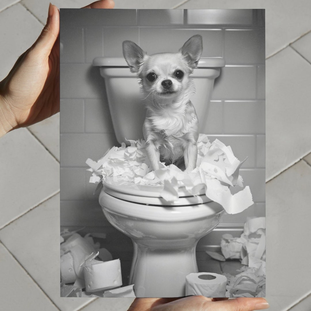 Cartello In Metallo Vintage Shih Tzu 'Wash Your Paws' | 20x30 Cm, Per Bagno O Cucina | Regalo Per Amanti Dei Cani