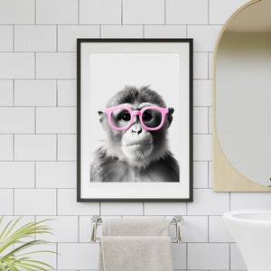 May include: A black and white photograph of a monkey wearing pink glasses. The monkey is looking directly at the camera. The photo is framed in a black frame.