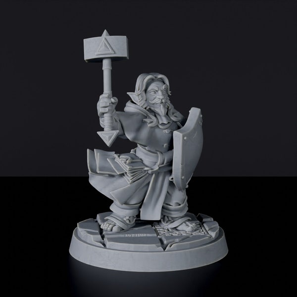 Gnome Cleric Male DnD inspired Fantasy DnD Tabletop RPG Mini Great Miniature Gift Idea for Dungeon and Dragons Fans Painting 3D Resin Figure