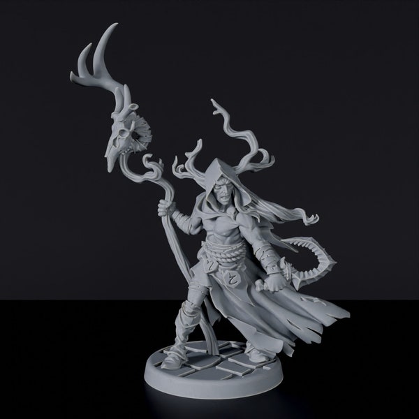 Elfe druide masculin DnD inspiré RPG de table Fantasy DnD Mini excellente idée cadeau miniature pour les fans de donjons et de dragons peignant une figurine en résine 3D