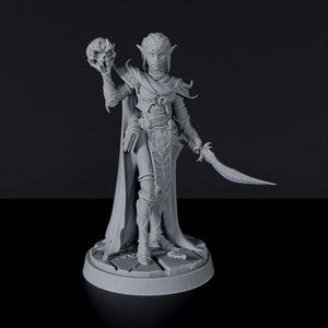 Elf Wizard Female DnD inspired Fantasy DnD Tabletop RPG Mini Great Miniature Gift Idea for Dungeon and Dragons Fans Painting 3D Resin Figure