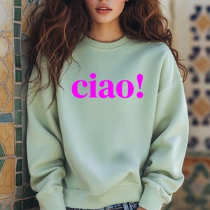 May include: A light green sweatshirt with a pink "ciao!" graphic.