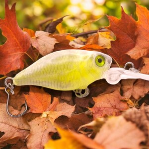 Leurre de pêche en bois fait main peinture à manivelle 4 cm - France