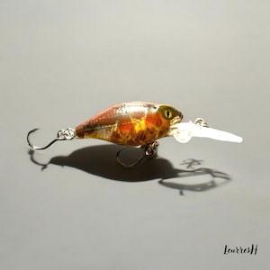 May include: A brown and orange fishing lure with a white propeller and a green eye. The lure has a realistic fish design.