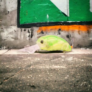 Ett unikt öringfiskebete: upptäck 'Graffiti', handgjort på Etsy.