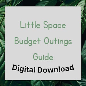 May include: A digital download guide for budget outings in small spaces. The text is written in a green font against a gray background with a green leafy border.