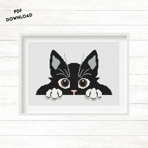 May include: A black and white cat with big eyes peeks over a white surface. The cat has gray ears and white paws.