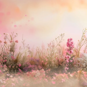 May include: A field of pink and white wildflowers with a soft, blurred background. The flowers are in bloom and the field is lush and green.
