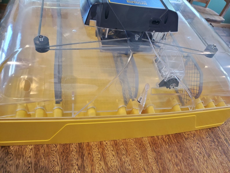 Incubator Divider Brinsea Ovation 56 EX, Hatching Divider, Chick