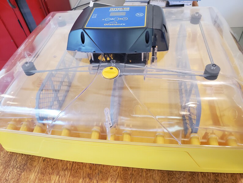 Incubator Divider Brinsea Ovation 56 EX, Hatching Divider, Chick