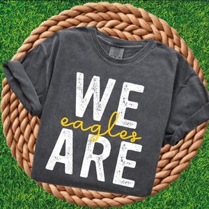 Custom Mascot Shirt, School Team Shirt, Team Mascot Tshirt, School Spirit Shirt, Personalized School Shirt, Matching Team Shirts