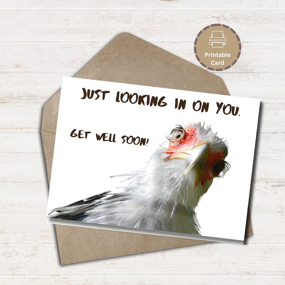 Printable Funny Get Well Soon Card Digital Download Greeting Card