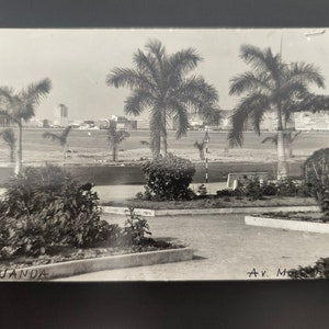 May include: A black and white postcard showing a view of Luanda, Angola. The postcard features palm trees in the foreground and a cityscape in the background. The text "LUANDA" and "Av. M" are visible on the postcard.