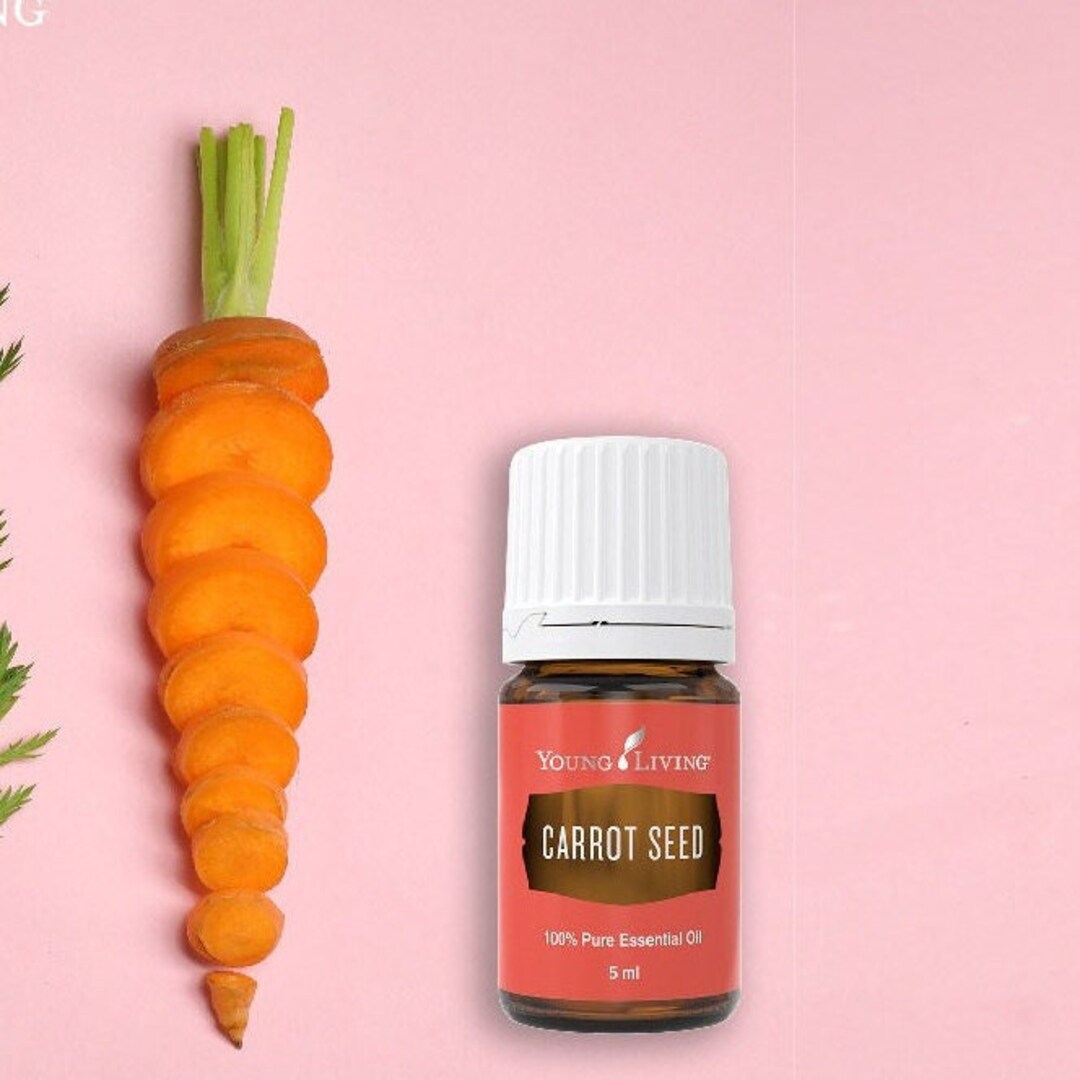 Carrot Seed Essential Oil 5 Ml Young Living Therapeutic Etsy