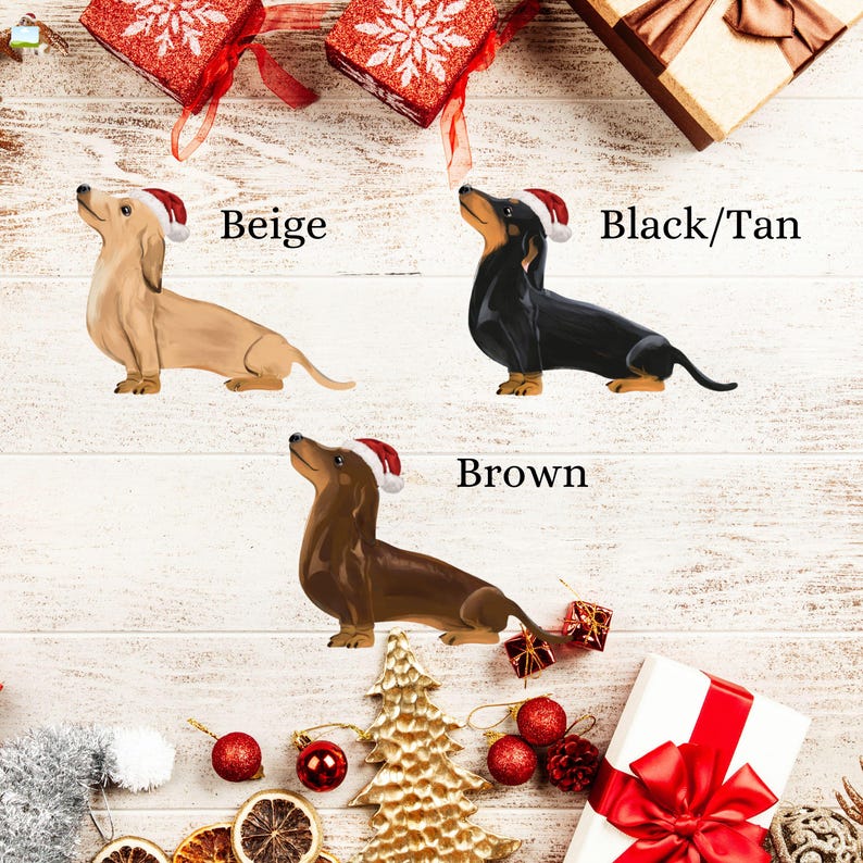 K&ouml;nnte beinhalten: Drei Dackel, die Weihnachtsm&uuml;tzen tragen, jeder in einer anderen Farbe: beige, schwarz und braun sowie braun. Die Hunde befinden sich auf einem wei&szlig;en Holzgrund mit Weihnachtsdekoration.