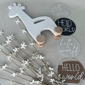 Hello World Baby Announcement Disc, Acrylic Hello World, Newborn Baby Sign