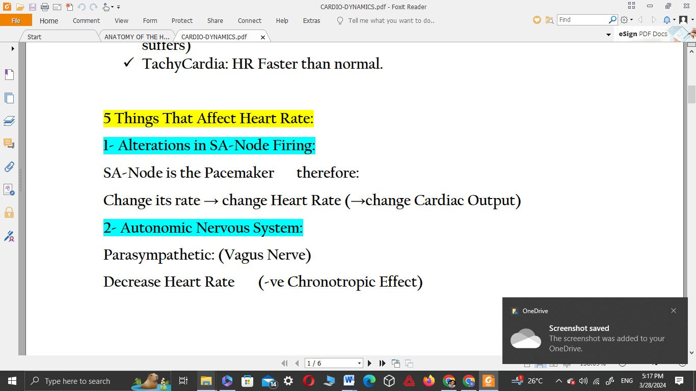 CARDIOVASCULAR SYSTEM NOTES Anatomy & Physiology Notes - Etsy