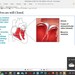 Cardiovascular System Notes - Etsy