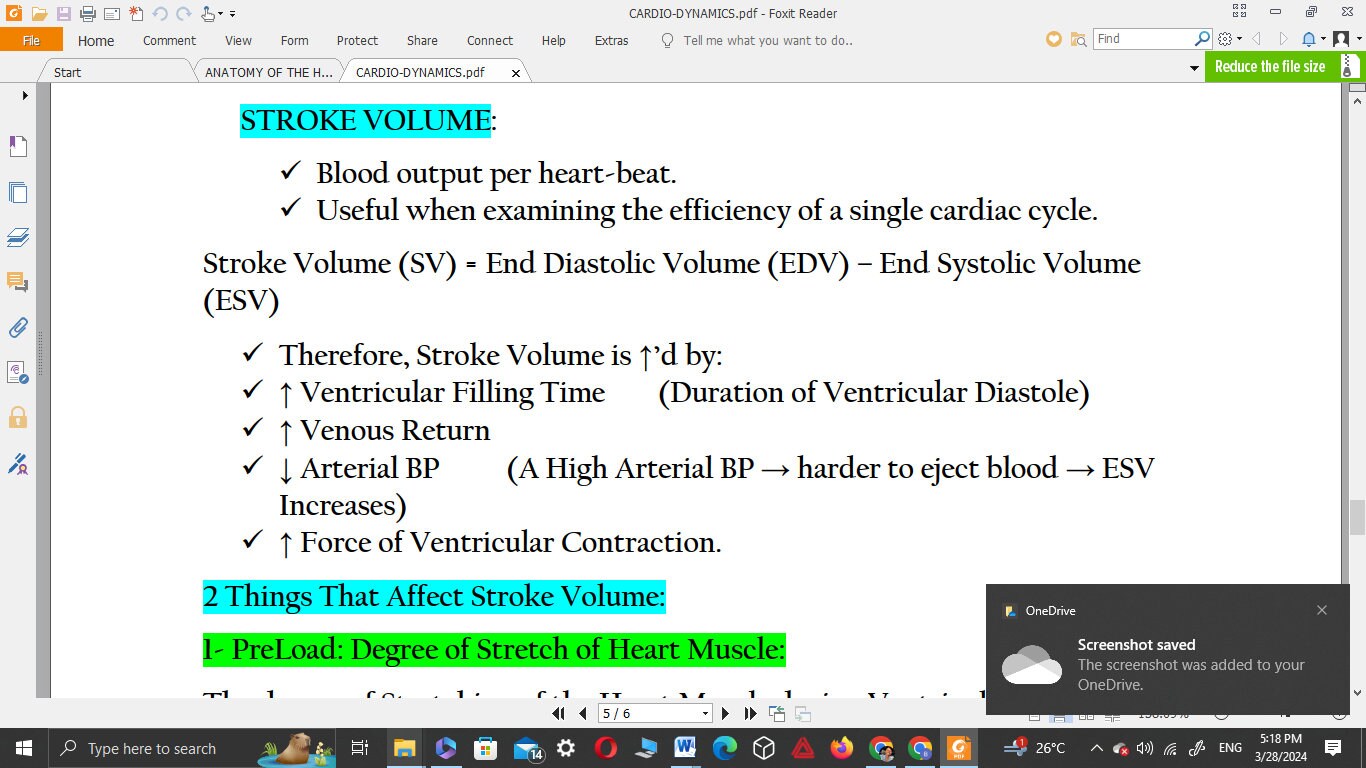 CARDIOVASCULAR SYSTEM NOTES Anatomy & Physiology Notes - Etsy