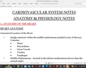 Cardiovascular Physiology Notes Anatomy and Physiology Cardiovascular ...
