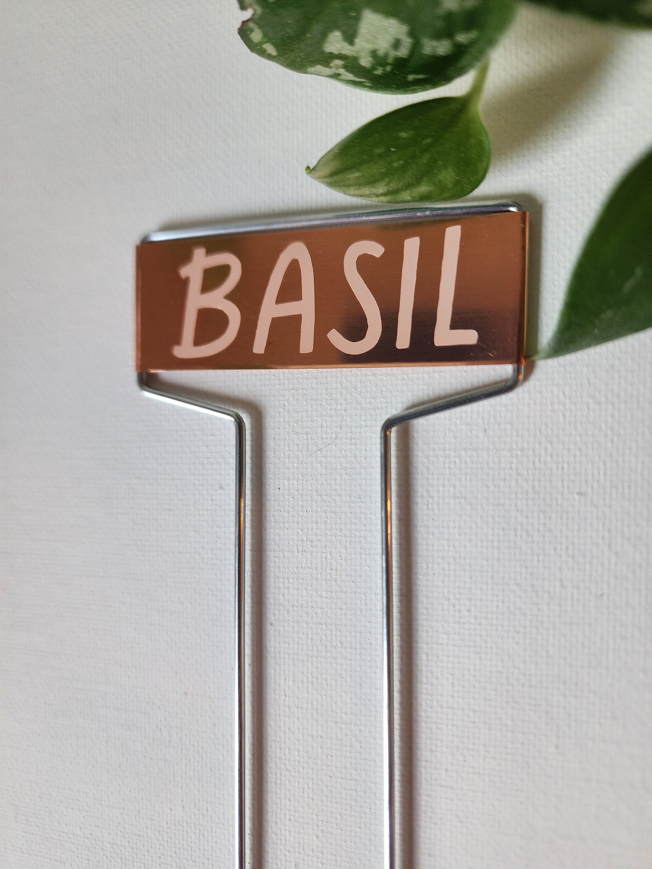 Custom Plant Name Tags Custom Garden Markers for Indoor Plant Etsy