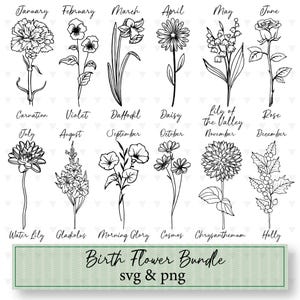 May include: A black and white illustration of birth flowers for each month of the year. The flowers are arranged in two rows, with the month name and flower name below each flower. The text "Birth Flower Bundle svg & png" is at the bottom of the image.
