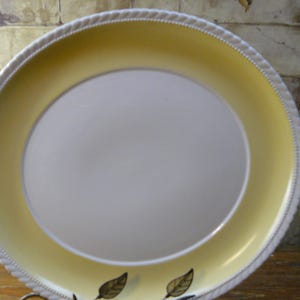 Könnte beinhalten: Ein runder, cremefarbener Teller mit gelbem Rand und weißem, seilartigem Zierrat. Die Mitte des Tellers ist hell cremefarben. Der Teller dient wahrscheinlich zum Servieren von Speisen.