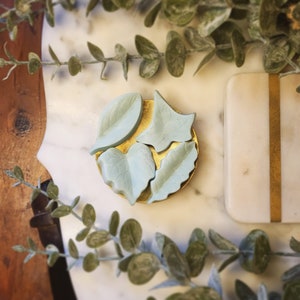 Daphne Leaves Herbal All Natural Wax Melt 4 Leaf Pack
