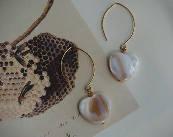 heart shell drop earrings