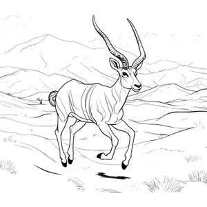 May include: Line art illustration of an antelope running across a desert landscape. The antelope has large, curved horns and is depicted in a dynamic pose. The background features rolling hills and a clear sky.