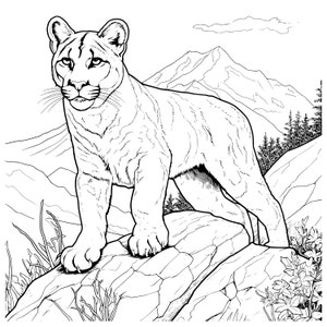 May include: Black and white illustration of a cougar standing on a rocky surface, with mountains and trees in the background. The cougar is facing forward, with detailed fur and facial features. The image is a line drawing.