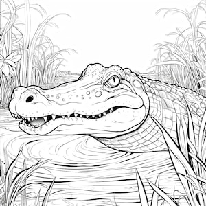 May include: Black and white illustration of an alligator in a swamp. The alligator's head is in the foreground, with its mouth slightly open, revealing teeth. Reeds and water plants surround the alligator, with a distant shoreline visible.