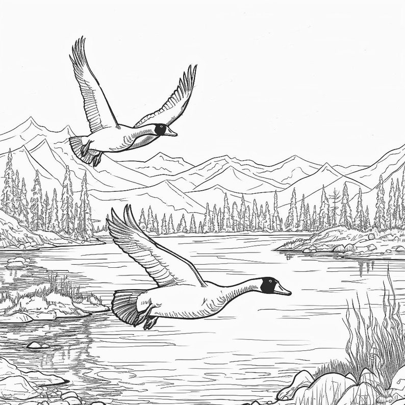 20 Wildlife Coloring pages image 6