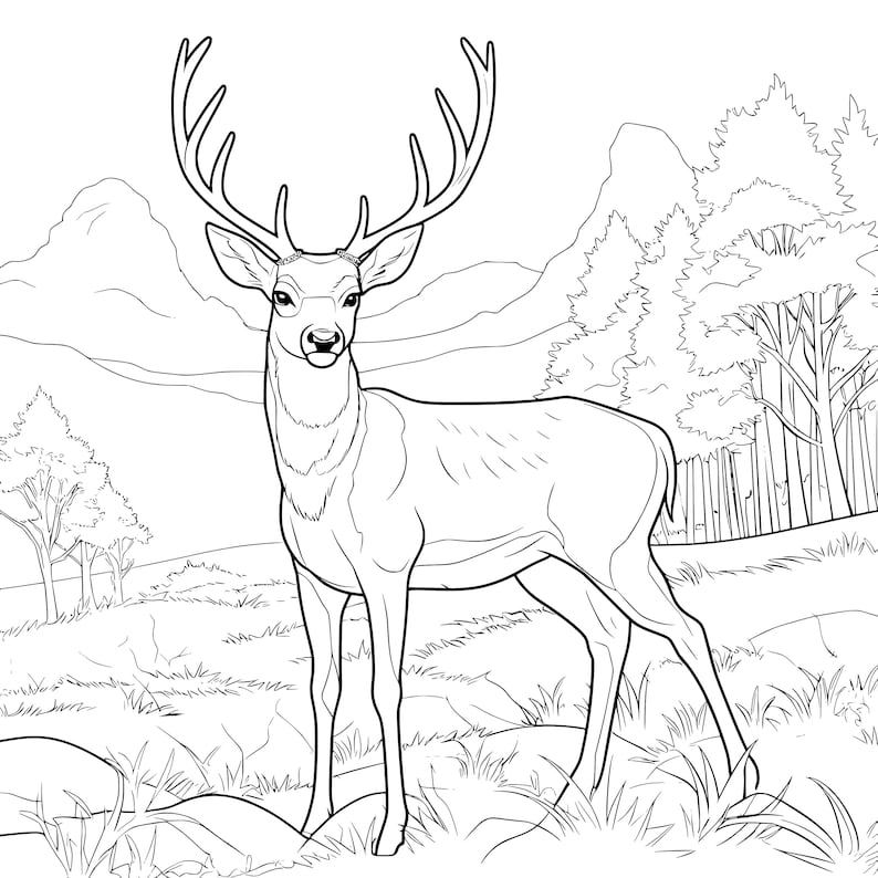 20 Wildlife Coloring pages image 1