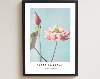 Ogawa Kazumasa Lotus Flowers Vintage Japanese Print