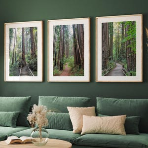 California Redwood Forest Fine Art Fotografie 3er-Set Drucke - übergroße gerahmte oder ungerahmte Natur Wandkunst Triptychon für Wohnkultur