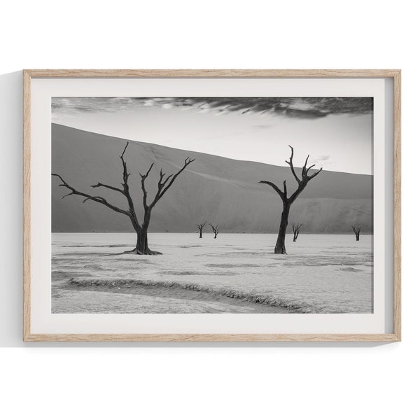 Namibia Black and White Trees Photography Print - Skeleton Trees with Sand Dunes Backdrop in Africa, Framed or Unframed Wall Art Home Decor