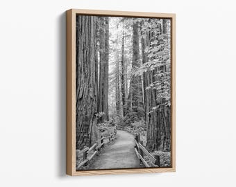 May include: A black and white framed wall art print featuring a narrow dirt path winding through a dense forest of tall redwood trees. The path is lined with a simple wooden fence on both sides, leading the eye toward the center of the woods.
