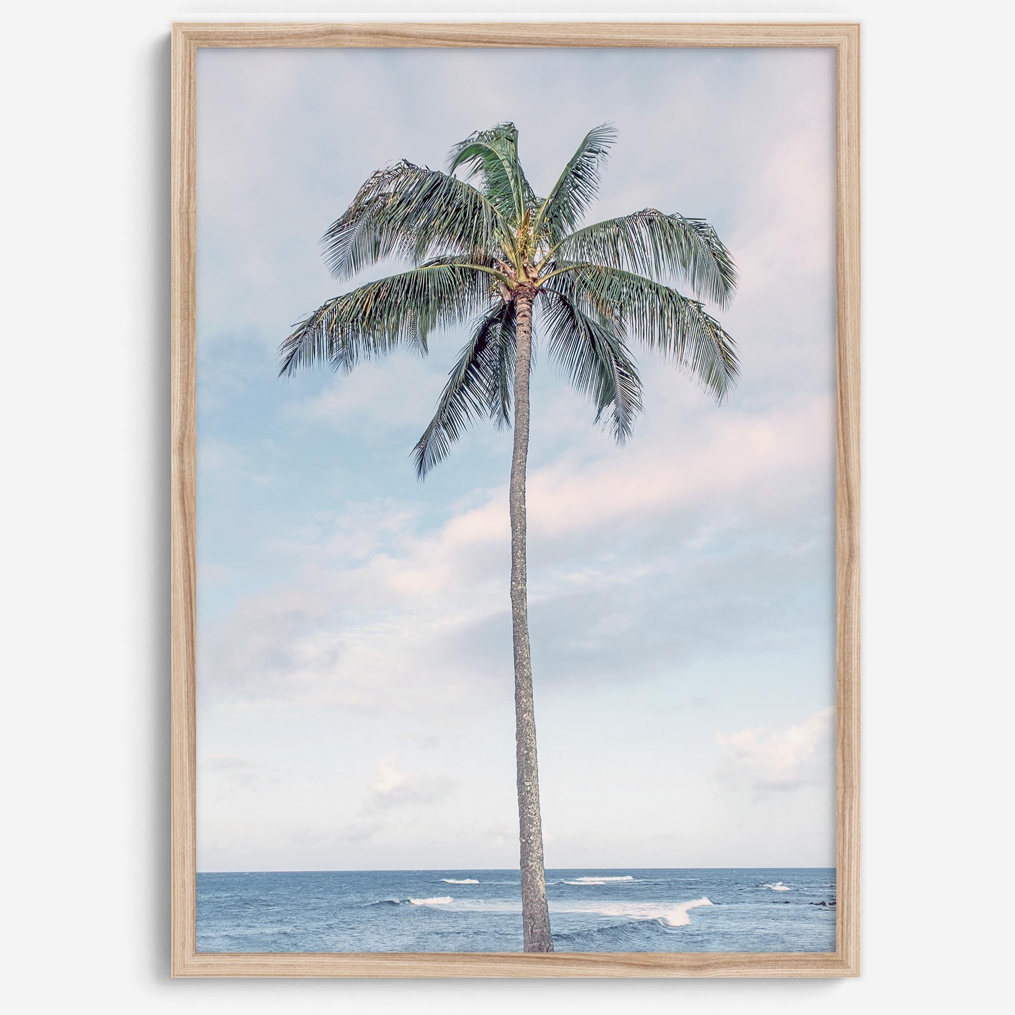 Beach Palm Tree Art Print: Coastal Ocean Photography - Etsy