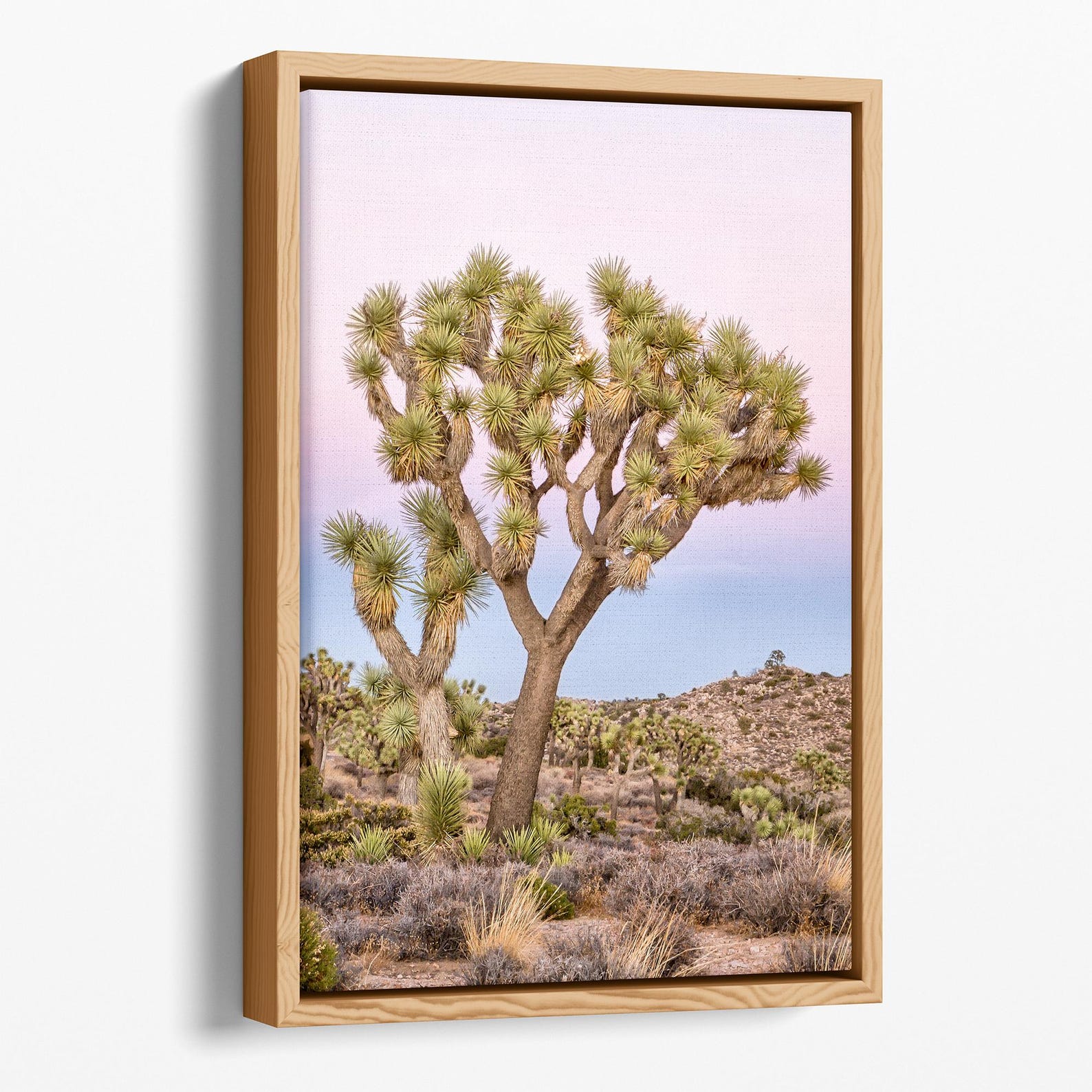 Joshua Tree Canvas Print Set: Pink Desert Photography, Framed Wall Art ...