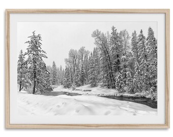 Snowy Forest Fine Art Photography Print - Black and White Forest Artwork, Winter Wall Art, Framed or Unframed Nature Poster for Home Decor