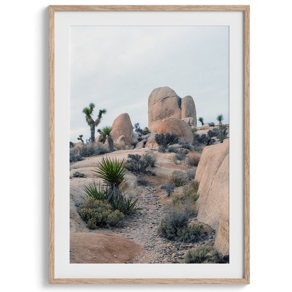 Impression fine art désert californien - très grande photographie d'art mural dans le désert, affiche encadrée du parc national de Joshua Tree pour décoration murale