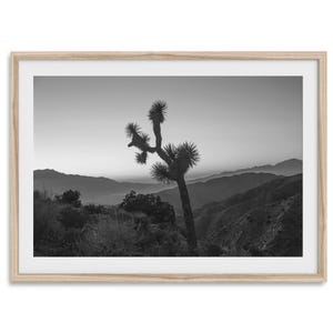Schwarz-Weiße Wüste Kunstdruck - Joshua Tree Sunset Monochrome Wandkunst, gerahmt oder ungerahmt Nationalpark Poster Western Wohnkultur