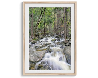 Yosemite Forest River Print: Calming Nature Wall Art, Framed or Unframed